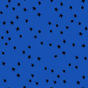1/2 Yard - Starry Blue Ribbon - RS4109 44- Ruby Star Society - Alexia Abegg - Quilting Cotton - Starry Starry