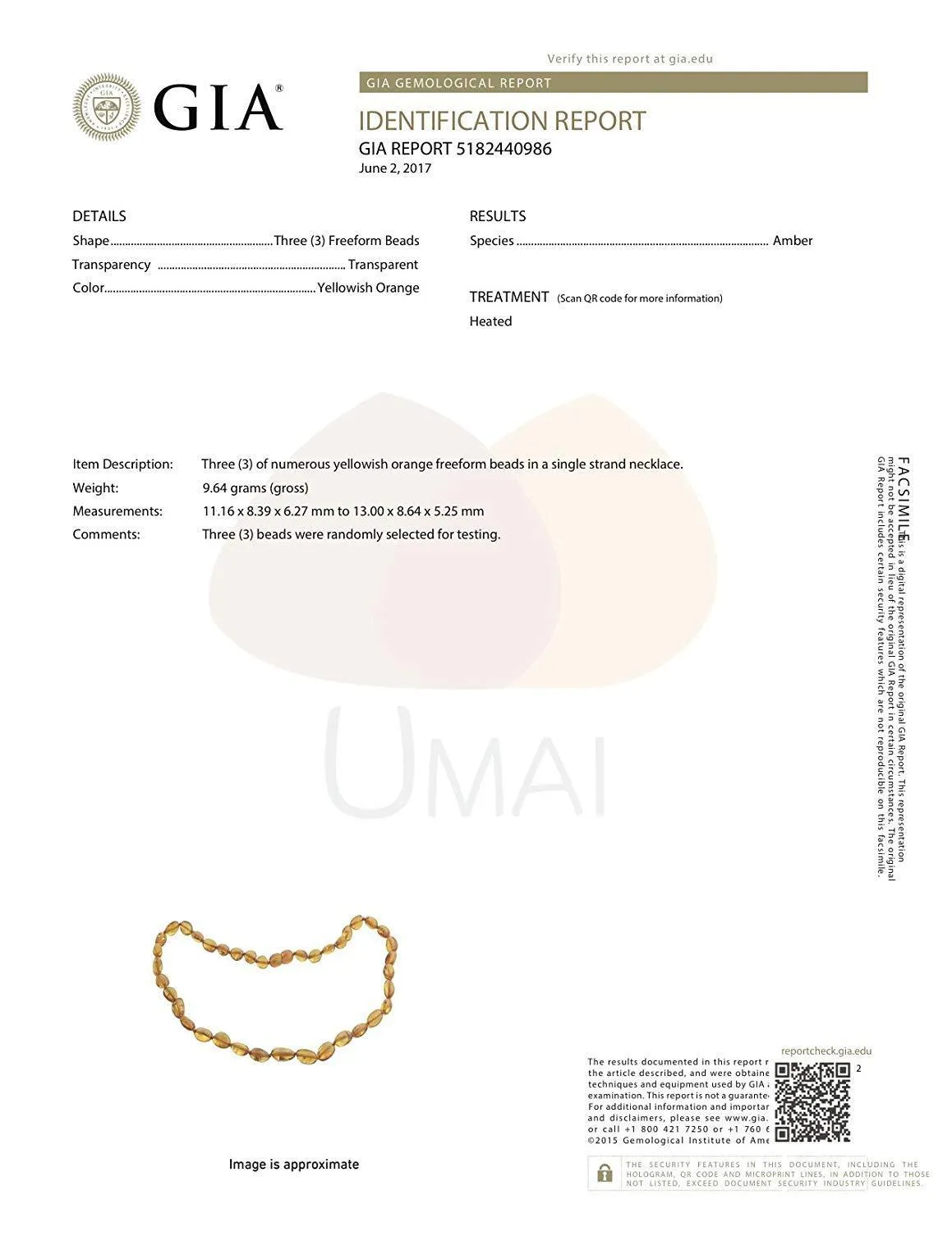 Baltic Amber and Shungite Necklace: Natural Radiation Blocker for Adults