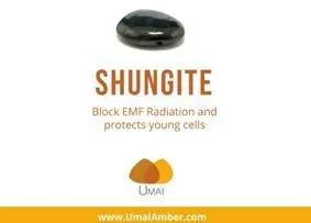 Baltic Amber and Shungite Necklace: Natural Radiation Blocker for Adults