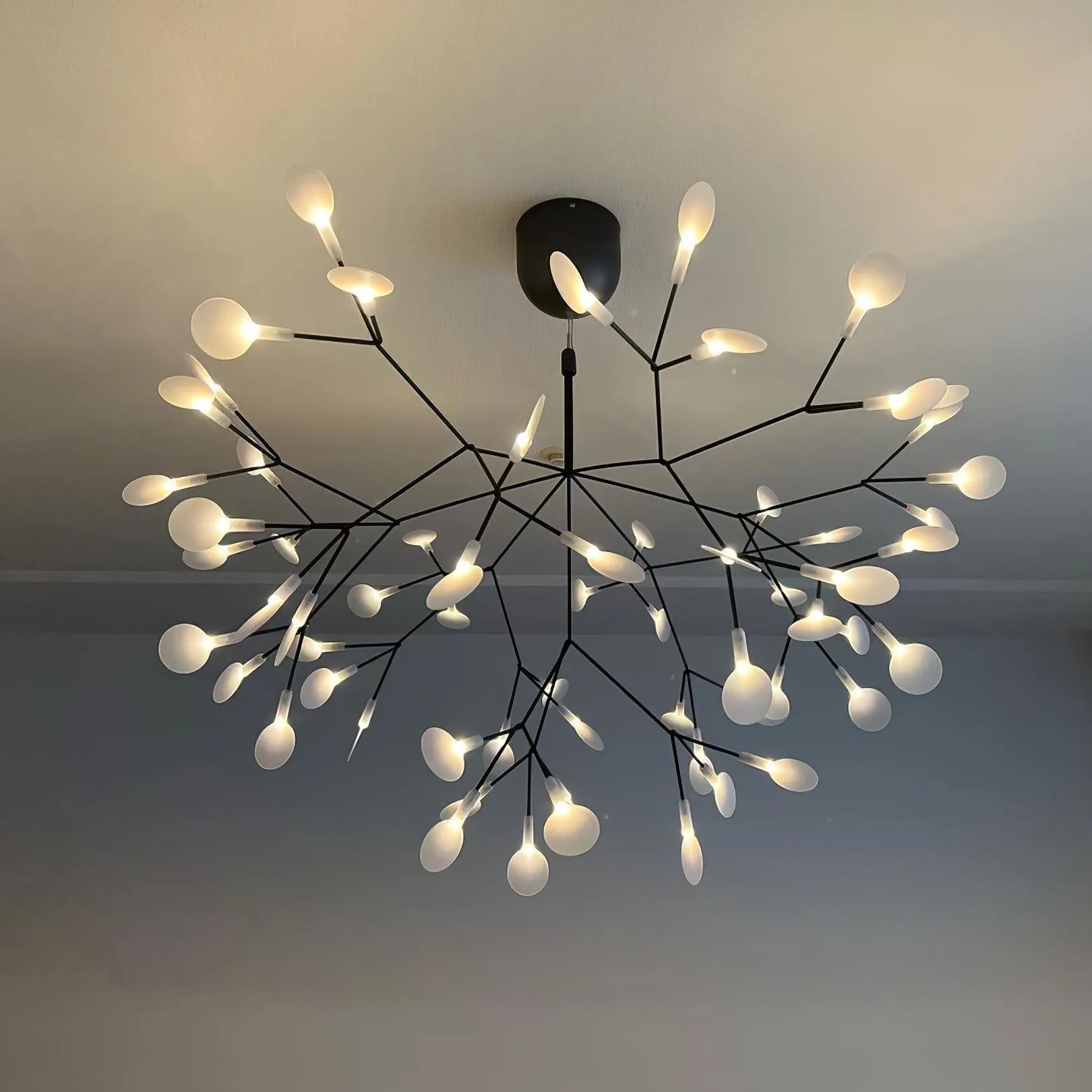 Black Firefly LED Chandelier