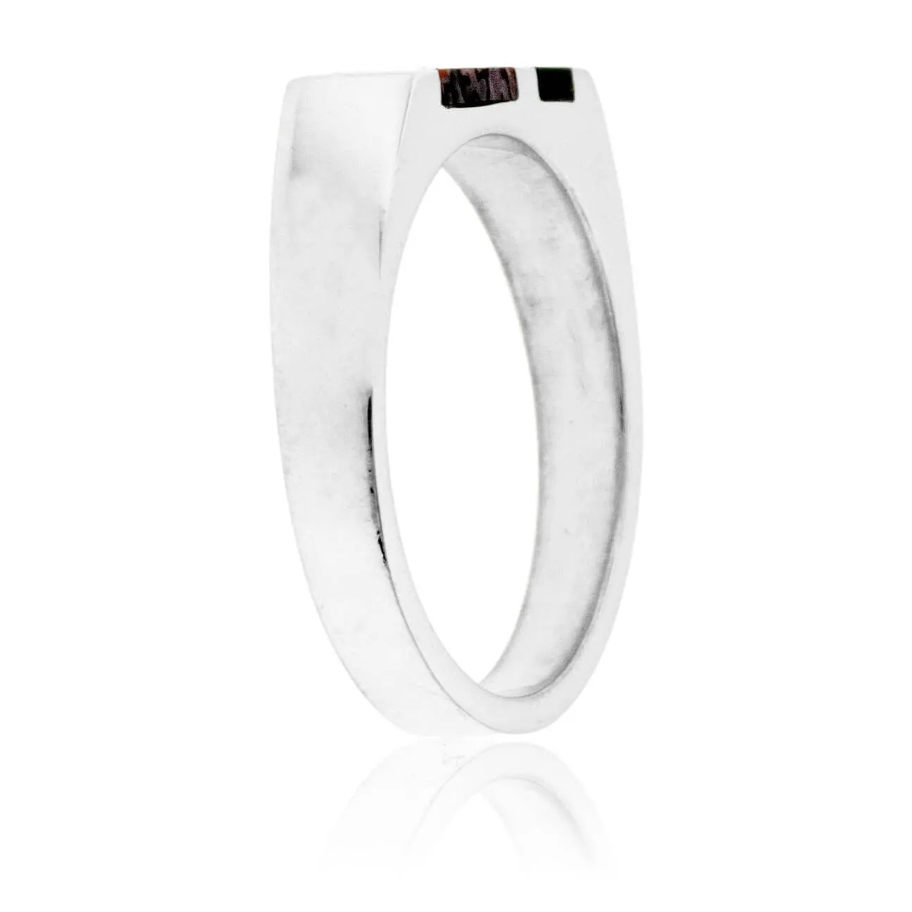 Dinosaur Bone & Onyx Double Inlay Ring