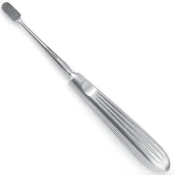 Lewis Rasp