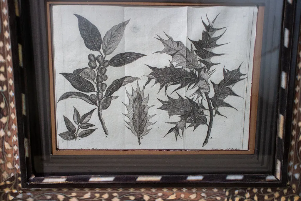 Pr. of Early Botanicals with Atelier Carpe Diem Created frames