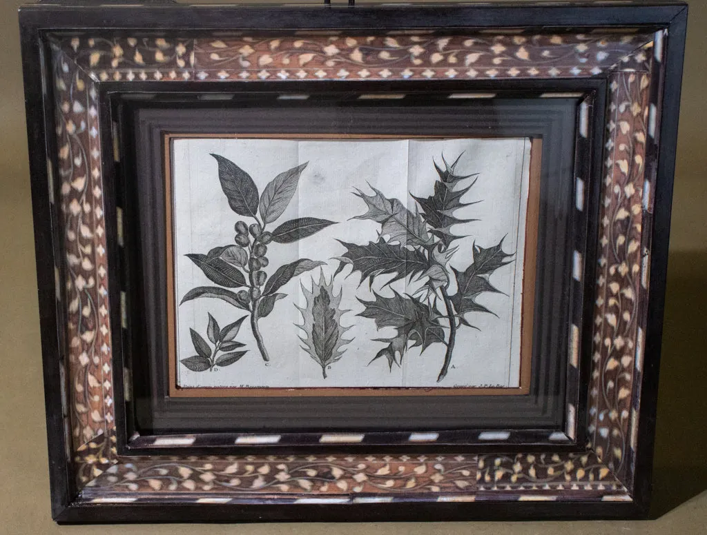 Pr. of Early Botanicals with Atelier Carpe Diem Created frames
