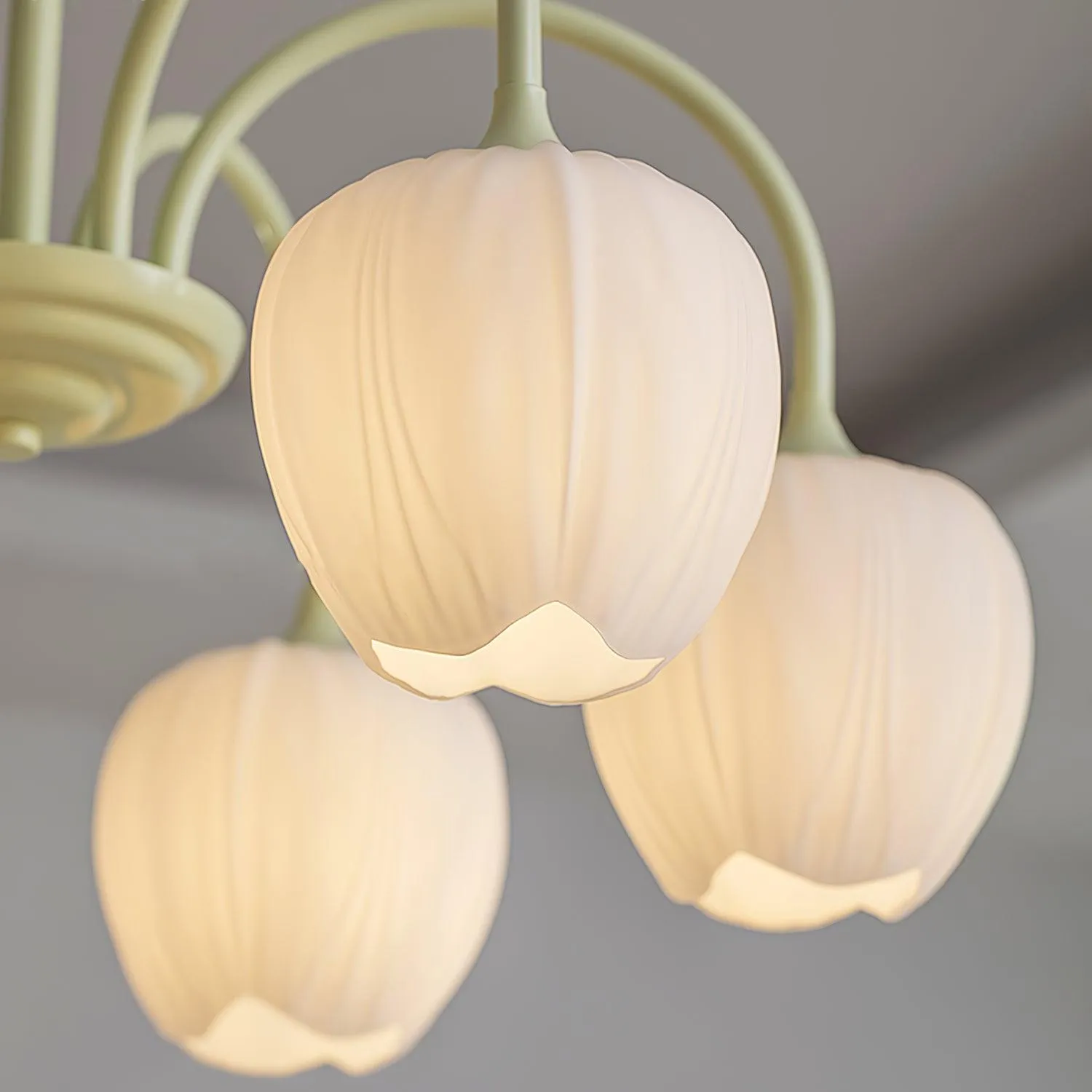 Tulip Matcha Chandelier