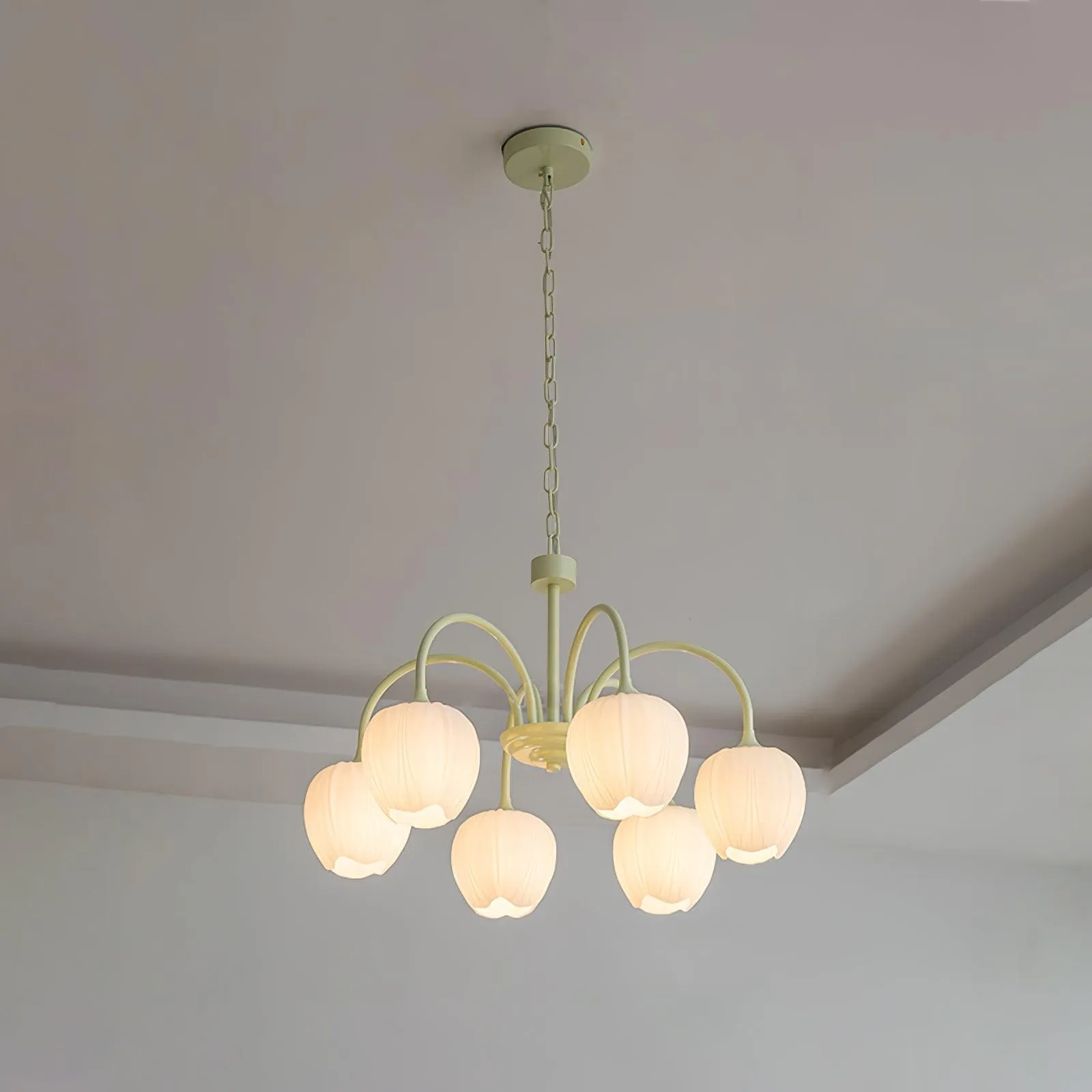 Tulip Matcha Chandelier